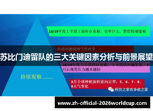 苏比门迪留队的三大关键因素分析与前景展望