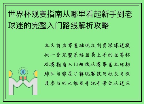 世界杯观赛指南从哪里看起新手到老球迷的完整入门路线解析攻略